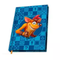 Ilustracja Notatnik A5 Crash Bandicoot - Crash & Coco