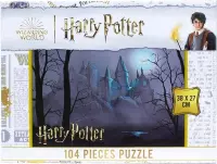 Ilustracja produktu Puzzle Harry Potter - Hogwarts 104 elementy