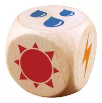 9. Takenoko